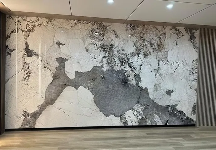 Introduction au panneau mural résistant aux chocs.